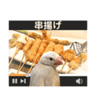 文鳥とオカメインコ3(文字大きめver)（個別スタンプ：15）