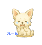 白いチワワ 仲良し2匹（個別スタンプ：3）