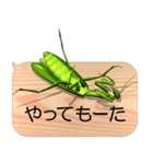 スマホの上のカマキリ7《関西弁》（個別スタンプ：17）