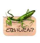 スマホの上のカマキリ7《関西弁》（個別スタンプ：23）