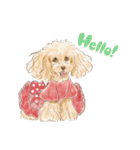 My Dog Stickers-Rin-（個別スタンプ：1）