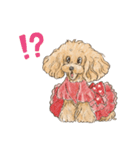 My Dog Stickers-Rin-（個別スタンプ：6）