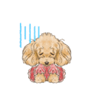 My Dog Stickers-Rin-（個別スタンプ：9）