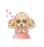 My Dog Stickers-Rin-（個別スタンプ：12）