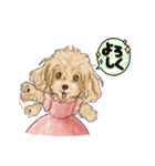 My Dog Stickers-Rin-（個別スタンプ：16）