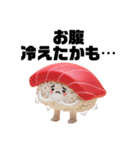 大人かわいい♡ぷに寿司の日常スタンプ（個別スタンプ：3）