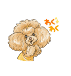 My Dog Stickers -たいがー-（個別スタンプ：7）