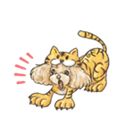 My Dog Stickers -たいがー-（個別スタンプ：8）