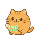 まるネコ1世（個別スタンプ：2）