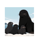 しゃべらぬモフモフアザラシ（個別スタンプ：34）