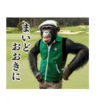 チンパのゴルファー 【関西弁】2（個別スタンプ：3）