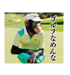 チンパのゴルファー 【関西弁】2（個別スタンプ：6）
