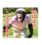 チンパのゴルファー 【関西弁】2（個別スタンプ：7）