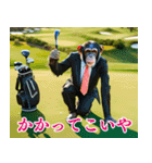 チンパのゴルファー 【関西弁】2（個別スタンプ：14）