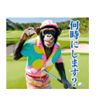 チンパのゴルファー 【関西弁】2（個別スタンプ：15）