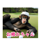チンパのゴルファー 【関西弁】2（個別スタンプ：17）