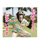 チンパのゴルファー 【関西弁】2（個別スタンプ：20）