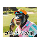 チンパのゴルファー 【関西弁】2（個別スタンプ：21）