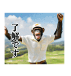 チンパのゴルファー 【関西弁】2（個別スタンプ：23）