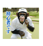 チンパのゴルファー 【関西弁】2（個別スタンプ：28）