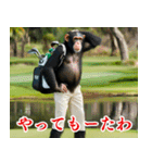 チンパのゴルファー 【関西弁】2（個別スタンプ：30）