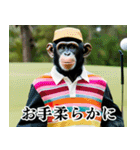 チンパのゴルファー 【関西弁】2（個別スタンプ：35）