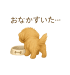 「まるっと伝えるマルプー」（個別スタンプ：4）