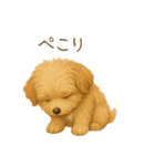 「まるっと伝えるマルプー」（個別スタンプ：6）