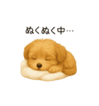 「まるっと伝えるマルプー」（個別スタンプ：19）