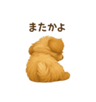 「まるっと伝えるマルプー」（個別スタンプ：37）