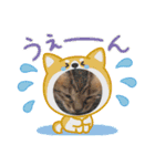 赤ちゃんねこスタンプ（個別スタンプ：2）