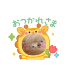赤ちゃんねこスタンプ（個別スタンプ：4）