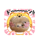 赤ちゃんねこスタンプ（個別スタンプ：7）