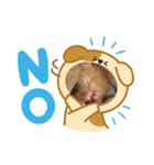 赤ちゃんねこスタンプ（個別スタンプ：10）