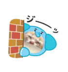 赤ちゃんねこスタンプ（個別スタンプ：13）