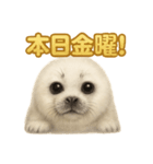 週末だ！ワモンアザラシのご褒美スタンプ（個別スタンプ：2）