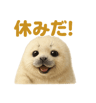 週末だ！ワモンアザラシのご褒美スタンプ（個別スタンプ：5）