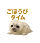 週末だ！ワモンアザラシのご褒美スタンプ（個別スタンプ：10）