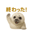 週末だ！ワモンアザラシのご褒美スタンプ（個別スタンプ：11）