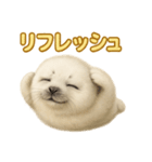 週末だ！ワモンアザラシのご褒美スタンプ（個別スタンプ：14）