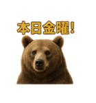 週末だ！リアルなヒグマのご褒美スタンプ（個別スタンプ：2）
