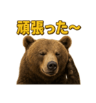 週末だ！リアルなヒグマのご褒美スタンプ（個別スタンプ：8）