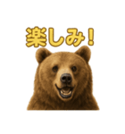 週末だ！リアルなヒグマのご褒美スタンプ（個別スタンプ：13）