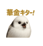 週末だ！シマエナガのご褒美スタンプ（個別スタンプ：1）