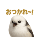 週末だ！シマエナガのご褒美スタンプ（個別スタンプ：5）