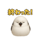 週末だ！シマエナガのご褒美スタンプ（個別スタンプ：11）