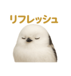 週末だ！シマエナガのご褒美スタンプ（個別スタンプ：14）
