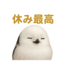 週末だ！シマエナガのご褒美スタンプ（個別スタンプ：15）
