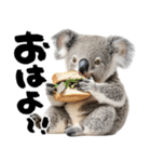 筆文字♡コアラ（個別スタンプ：4）