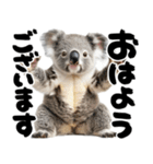 筆文字♡コアラ（個別スタンプ：6）